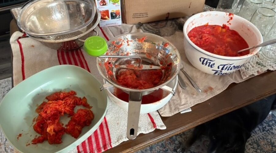 The Day Lyndsay and I Made Sauce (Again)
