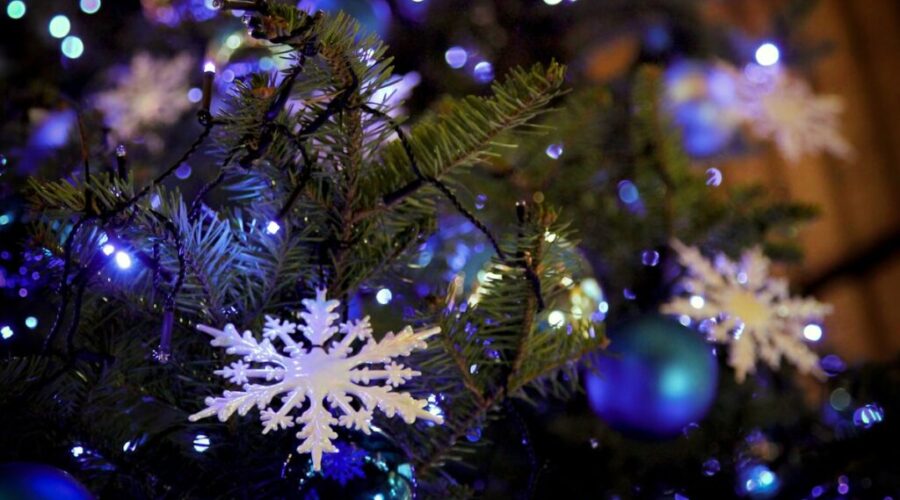 How about a rain check for a Christmas tree?