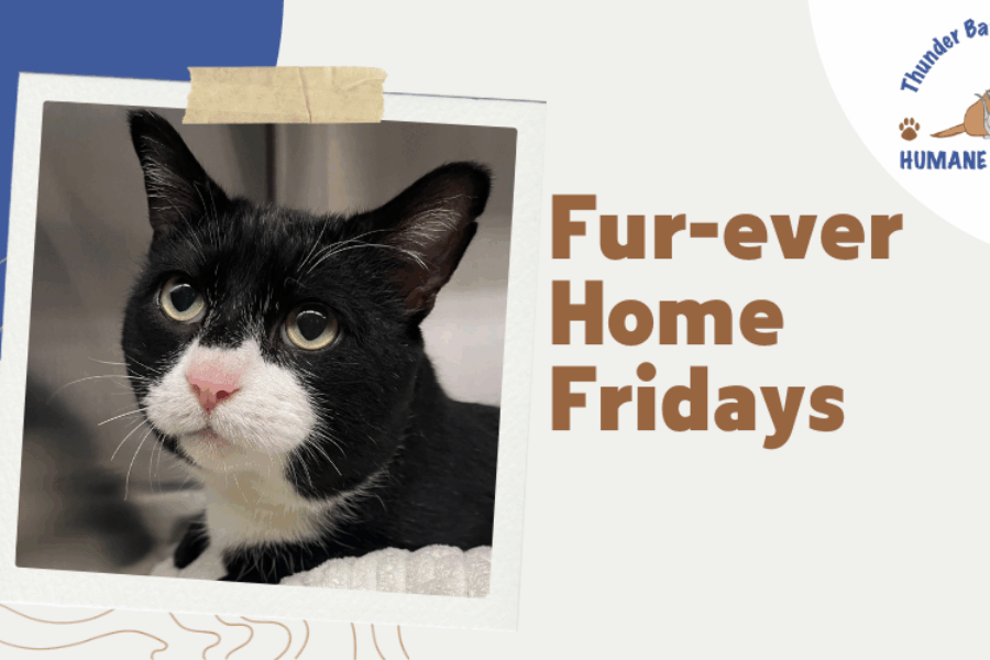 Fur-ever home Fridays: Alf