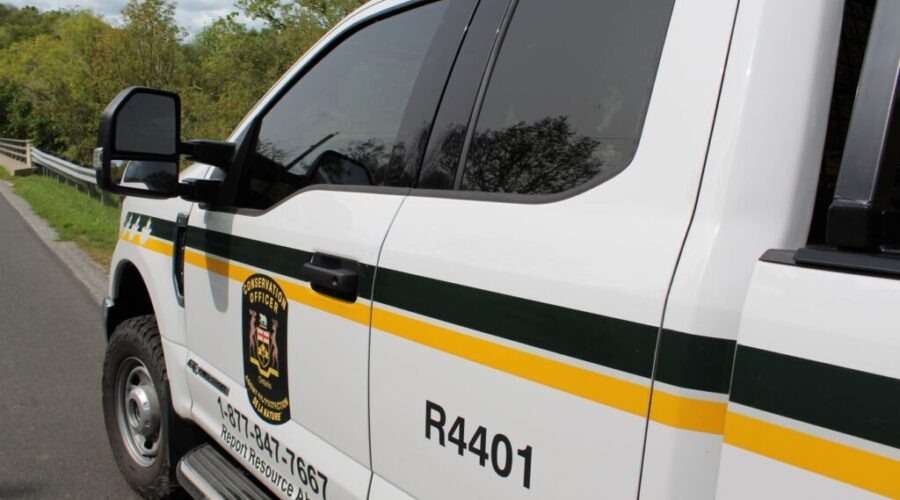 $11,000 in fines issued for shooting at moose decoy near Upsala