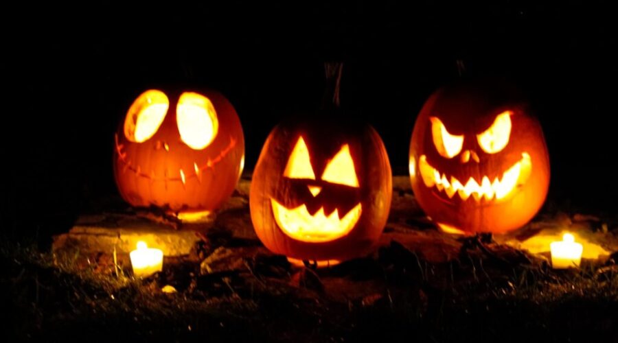Thunder Bay accepting pumpkins for compost