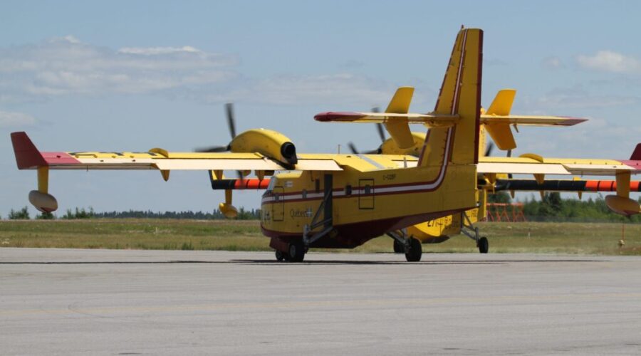 Forest fire season over for another year