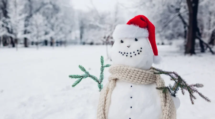 Heavy snowfall coming to Thunder Bay region