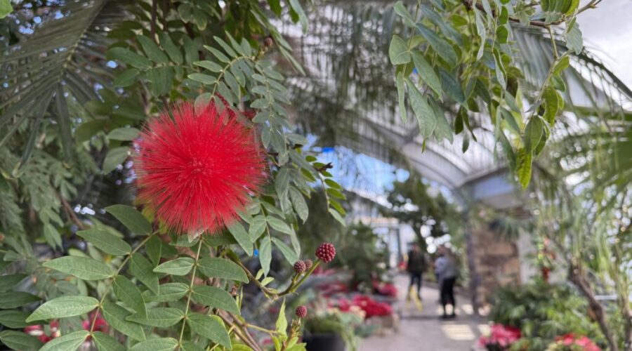 Thunder Bay to reopen Centennial Botanical Conservatory in January