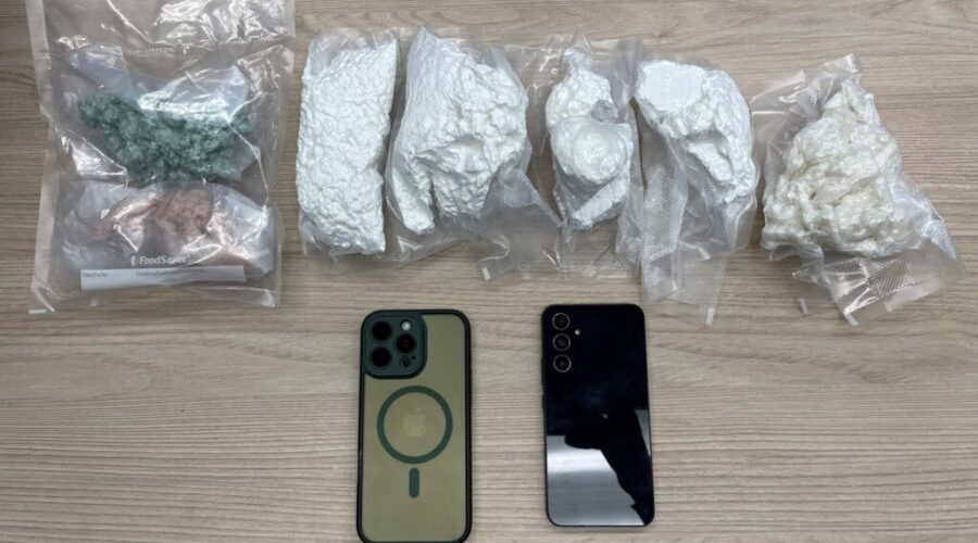 Over $200K in illegal drugs seized in Thunder Bay