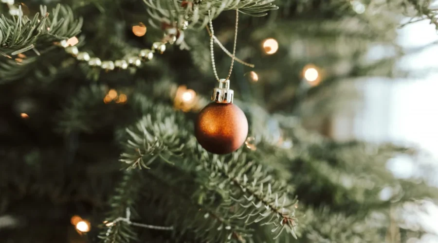 Christmas tree drop-off begins on Boxing Day
