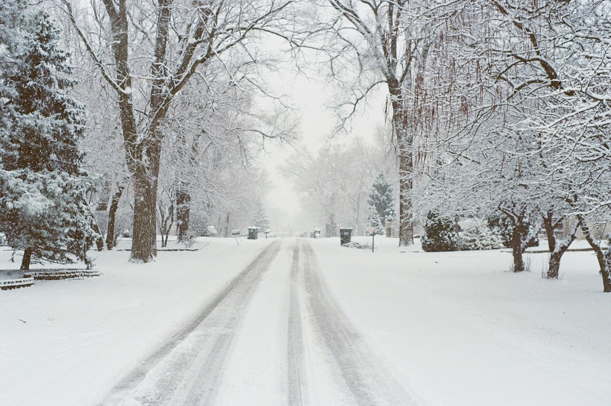 a snow covered street with trees and benches