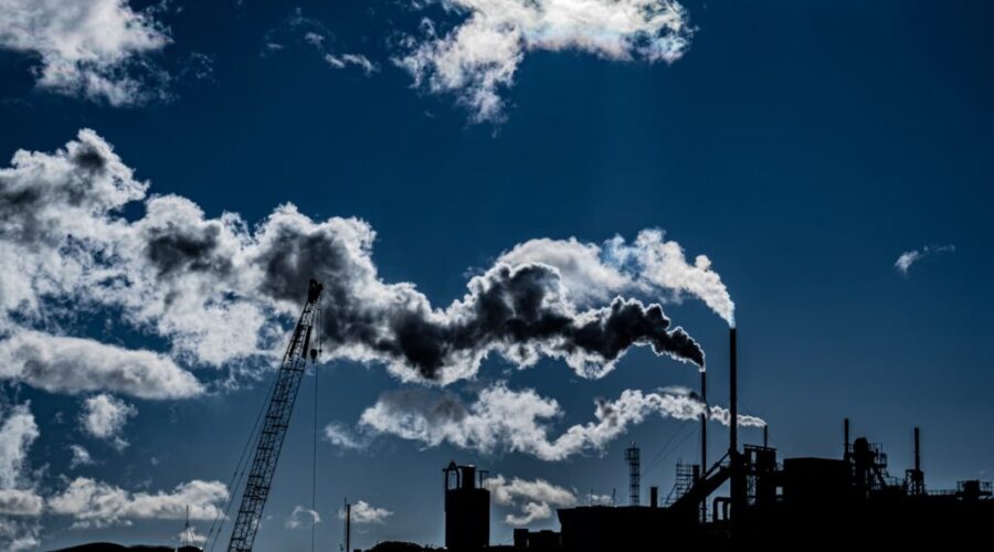 Premier bestowed with Climate Betrayal Award