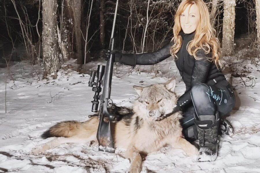 Wolf hunting in northern Ontario is about conservation, not controversy