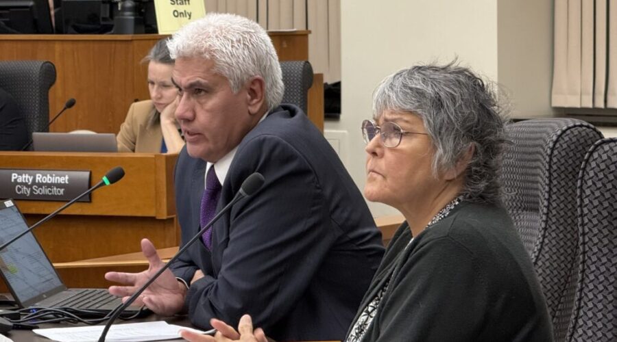 Police budget comes under council’s microscope