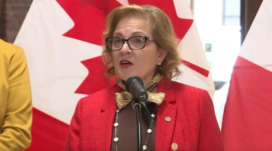 Francophone immigration continues to rise in Canada