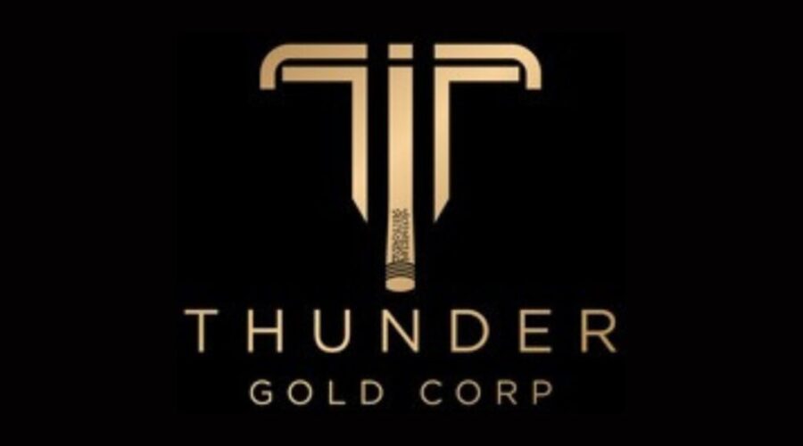 Mineral Resources Estimate released for Tower Mountain project