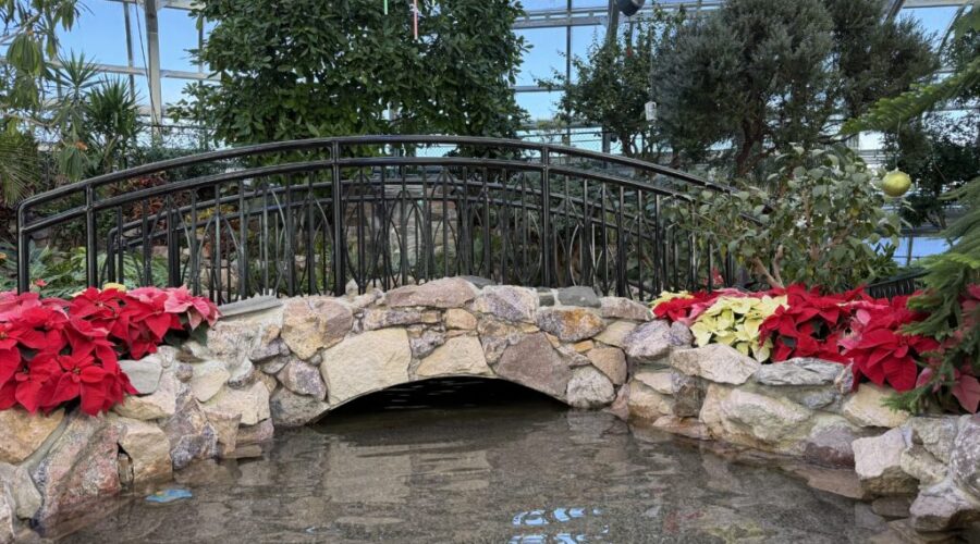 Botanical Conservatory officially reopens