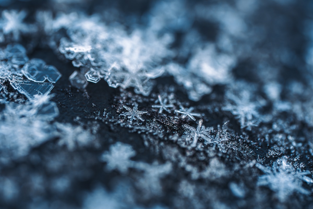 Close-up of delicate ice crystals and snowflakes.