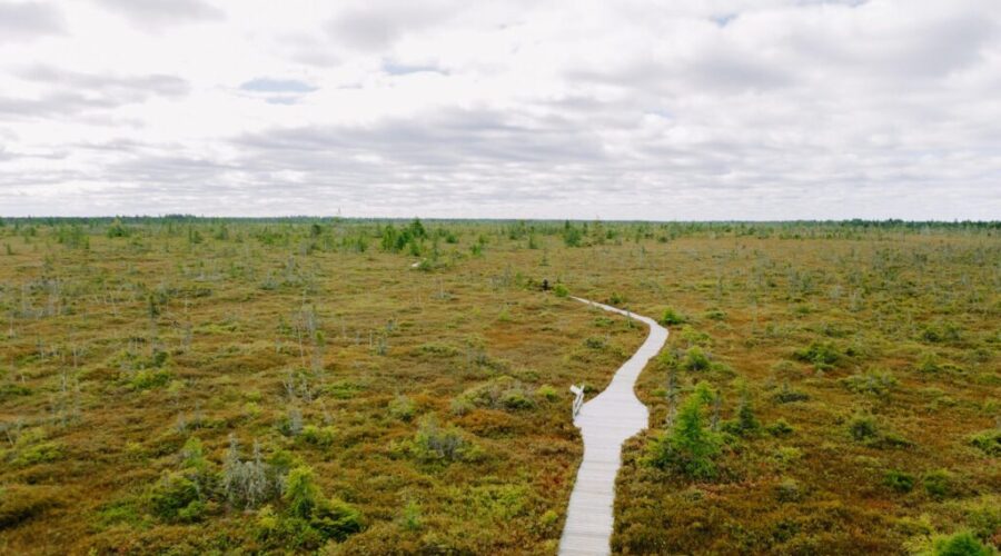 Wetland loss raising risks for Canadian communities