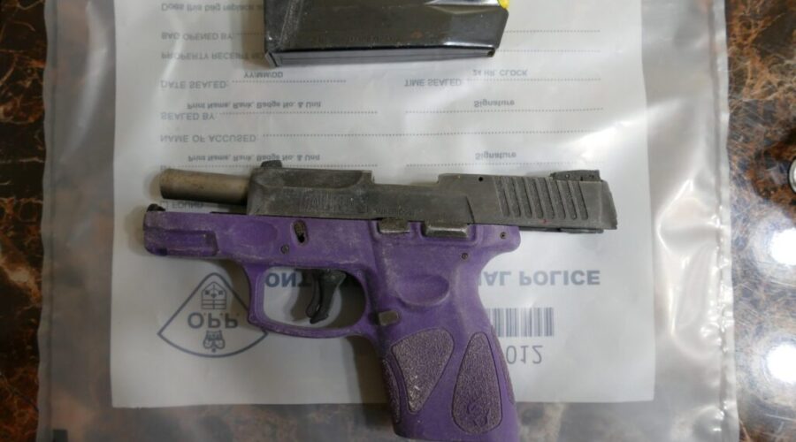 Thunder Bay local facing charges for guns, drugs, jewellery