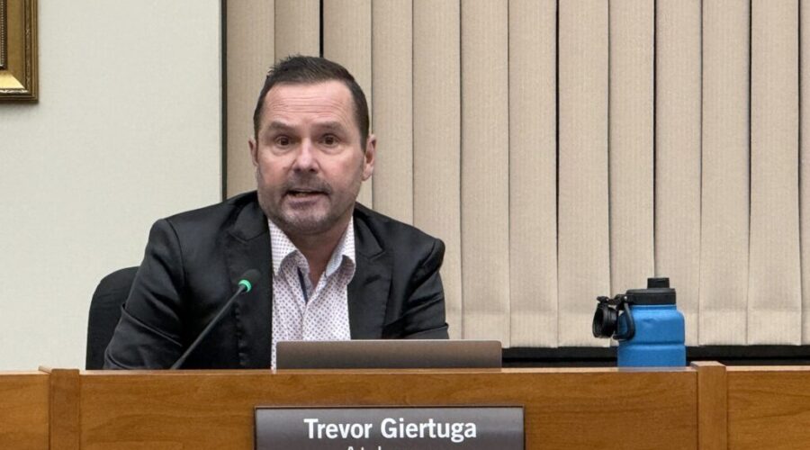 Council ratifies budget despite criticisms of rising costs