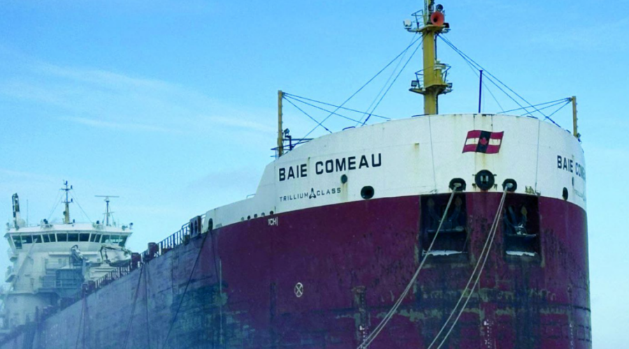 Only 1 ship wintering at port