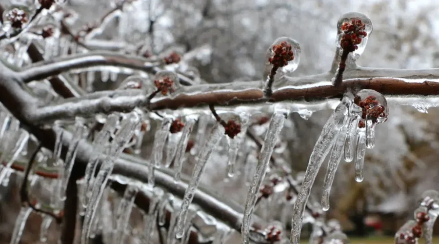 Freezing rain creates slippery conditions across Northwestern Ontario