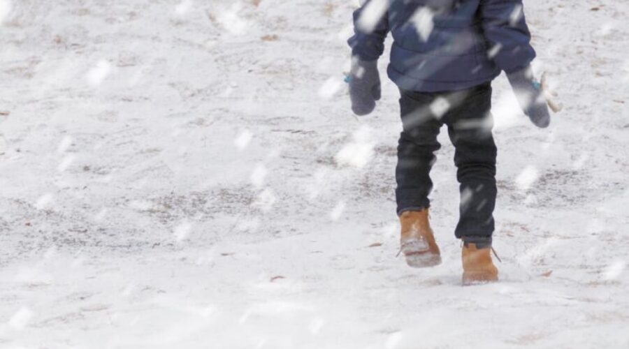 Dee Learns a New Word: Snizzling