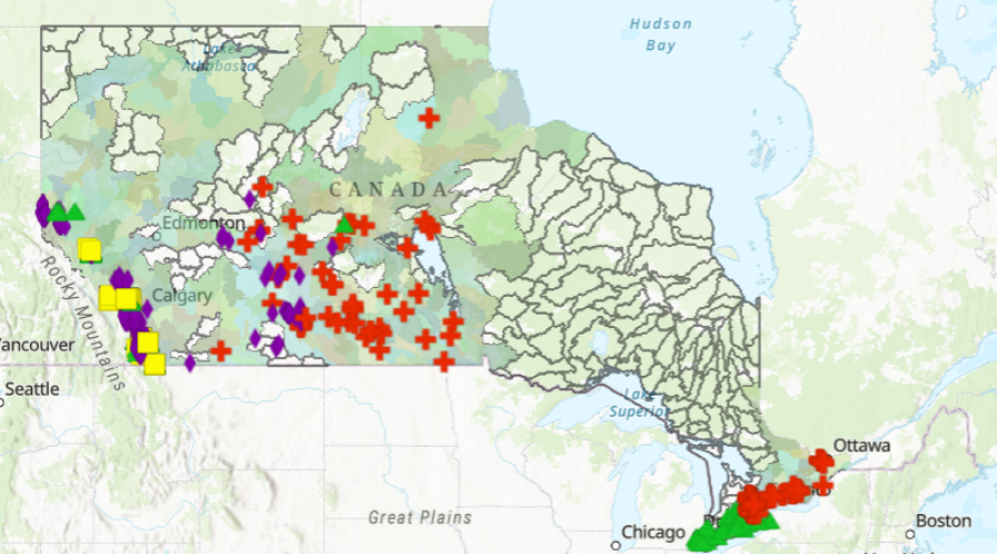 Online map outlines fish restocking efforts in Ontario/Prairie region