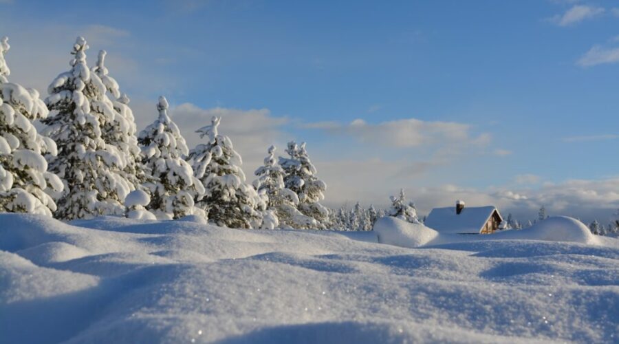 Snowed In & Stressed Out? 99.9 The Bay Gets a Reality Check!