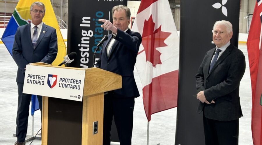 Delaney Arena gets $2 million for offseason makeover