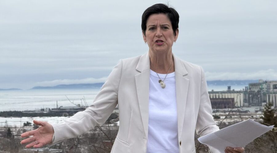 The mayor’s race begins: Moe Comuzzi announces her bid