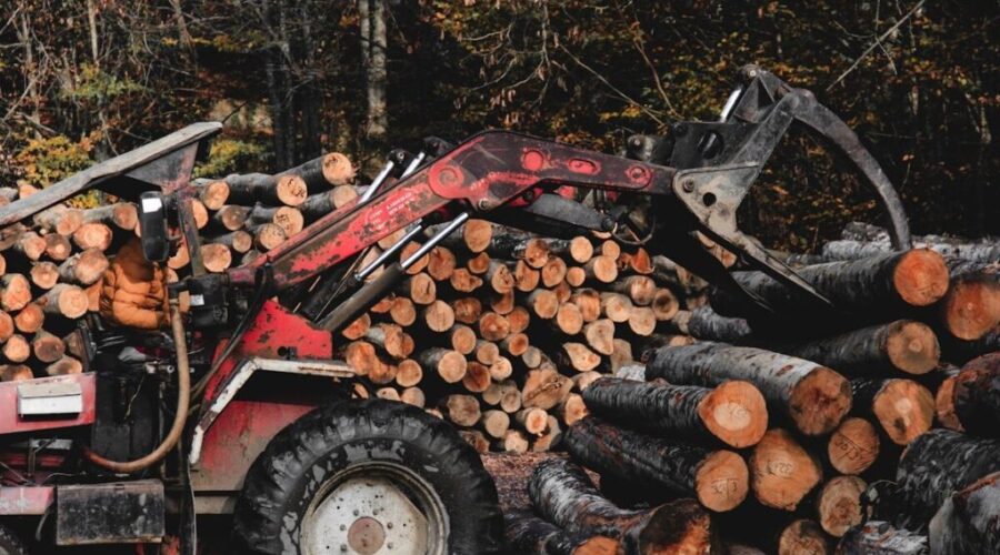 Province releases new 10-year roadmap for Ontario’s forest industry