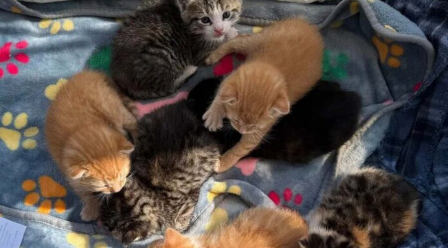 A workday surprise – and a whole lot of joy