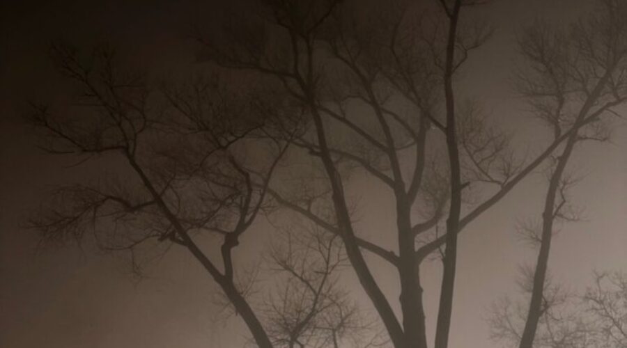 Blind dates and standing ovations