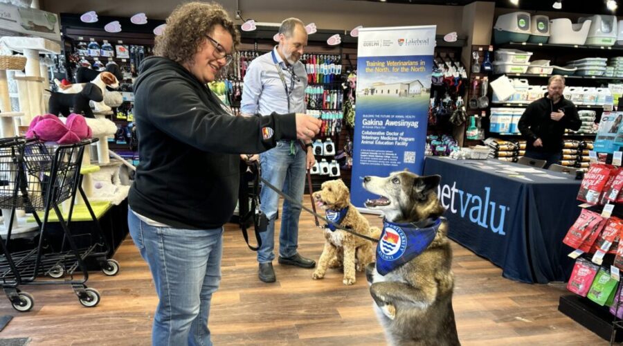 Paws for a Cause raising funds to train more vets