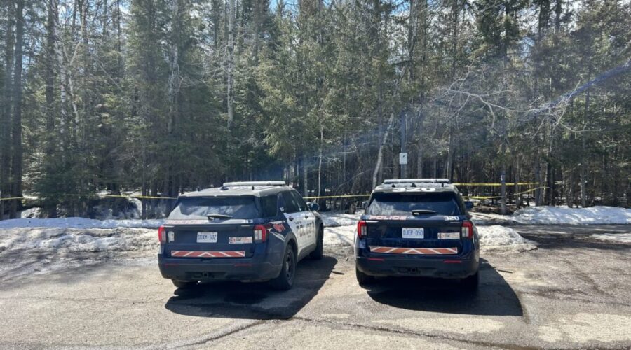 Police presence reported at Boulevard Lake