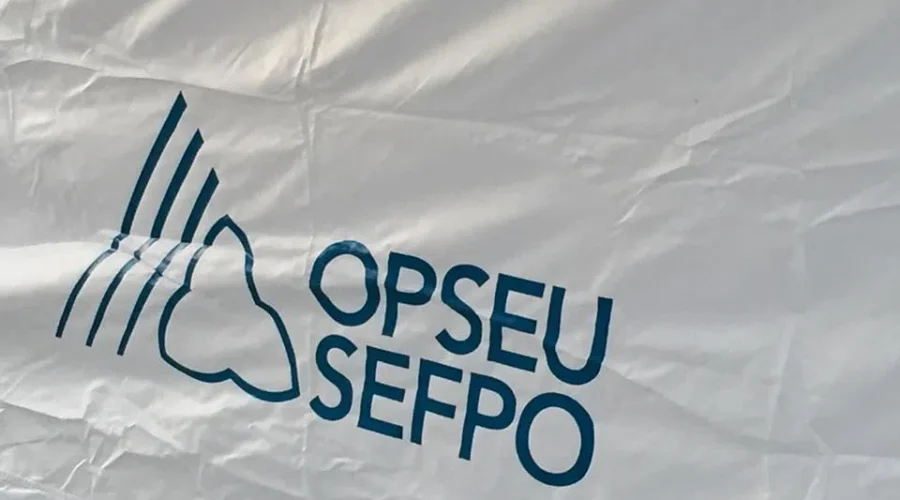 Hundreds of Thunder Bay support workers strike for better wages