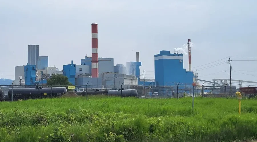 Biofuel plant to open at Thunder Bay Pulp and Paper