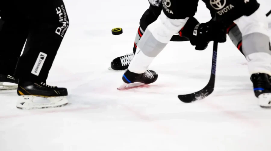 Thunder Bay residents invited to weigh in on arena renewal